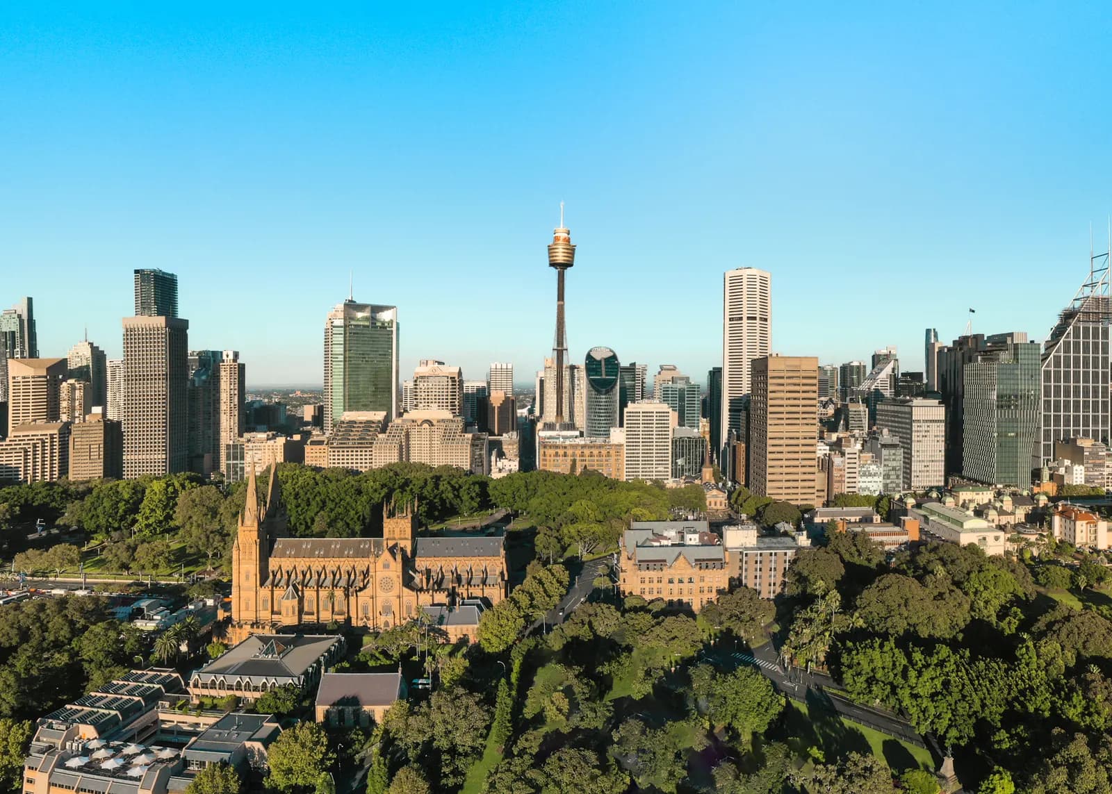 Sydney CBD office towers rising behind Hyde Park and St Mary's Cathedral