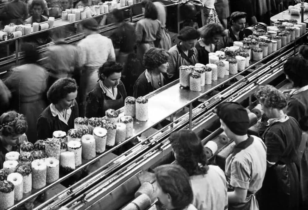 Historic photo of women working on a production line at a Queensland fruit cannery