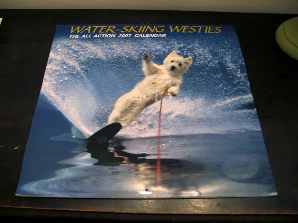 A monthly wall calendar hanging on a wall