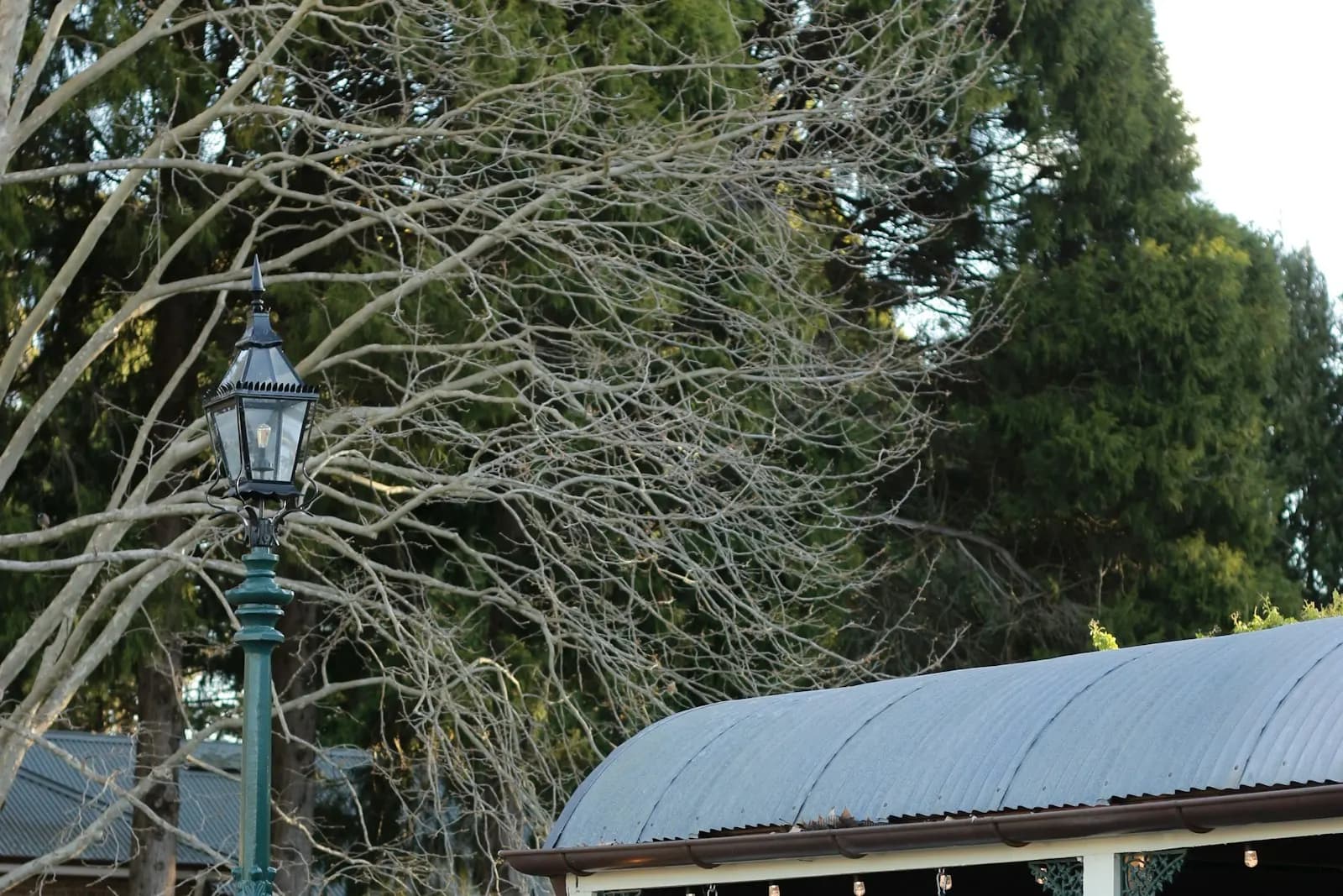 Small florist shop with a white awning and sign beside a green heritage lamppost and garden hedges in Australia