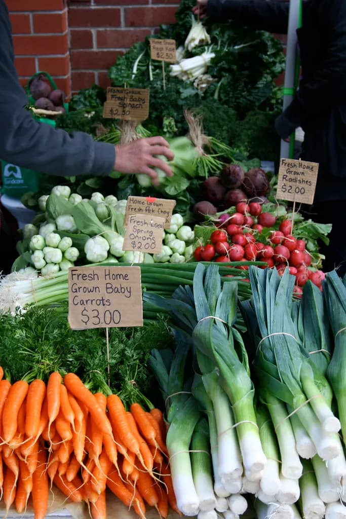 Carrots, leeks and radishes with handwritten price signs on a farmers market stall in Hobart, Tasmania