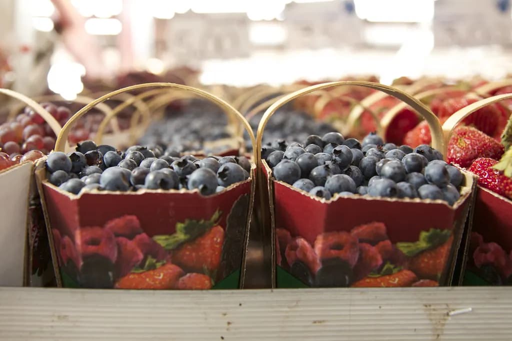 Baskets of fresh blueberries for sale at Marché Jean-Talon in Montreal