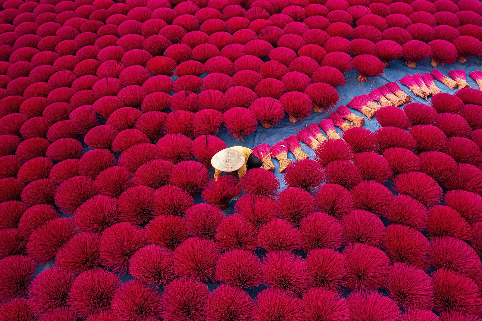 Thousands of red-dyed incense stick bundles fanned out to dry in circles on the ground in a Vietnamese village