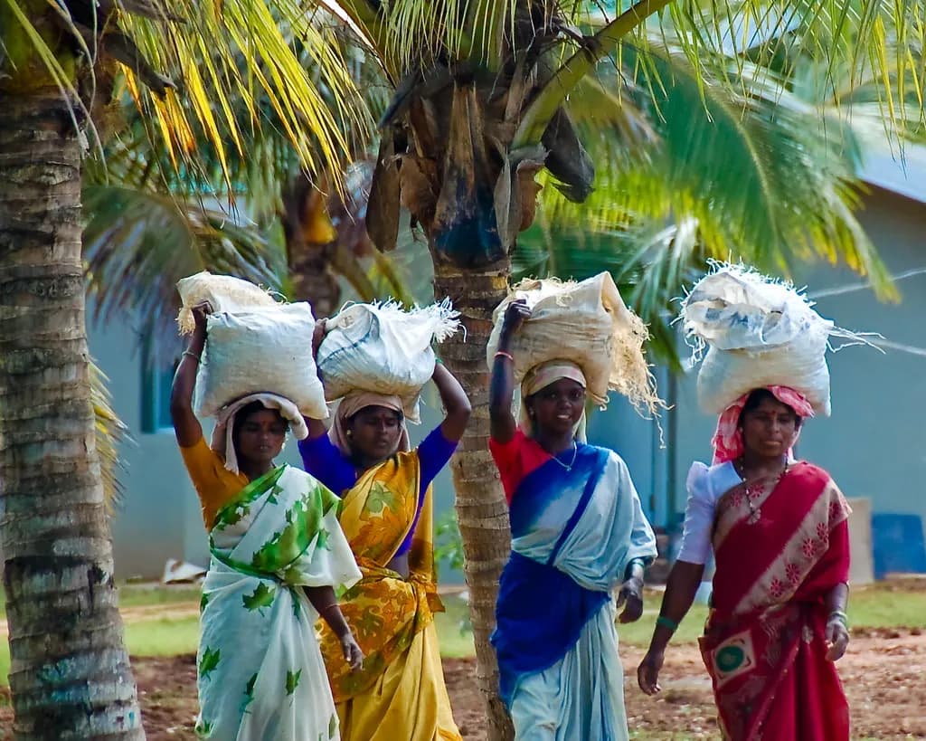Women construction workers in India carrying bags of stone and gravel on their heads