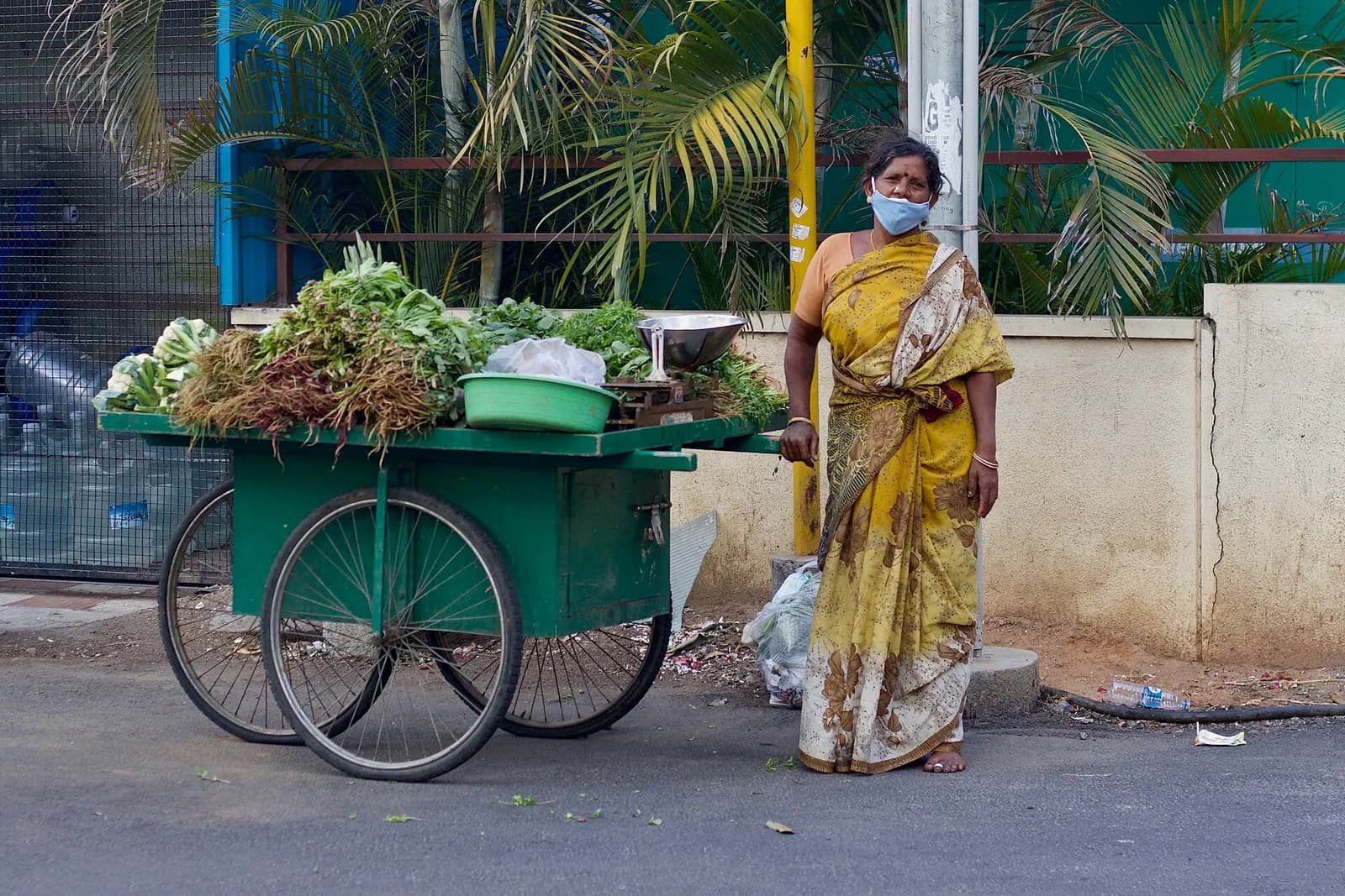 A woman street vendor standing beside her green push-cart loaded with leafy vegetables