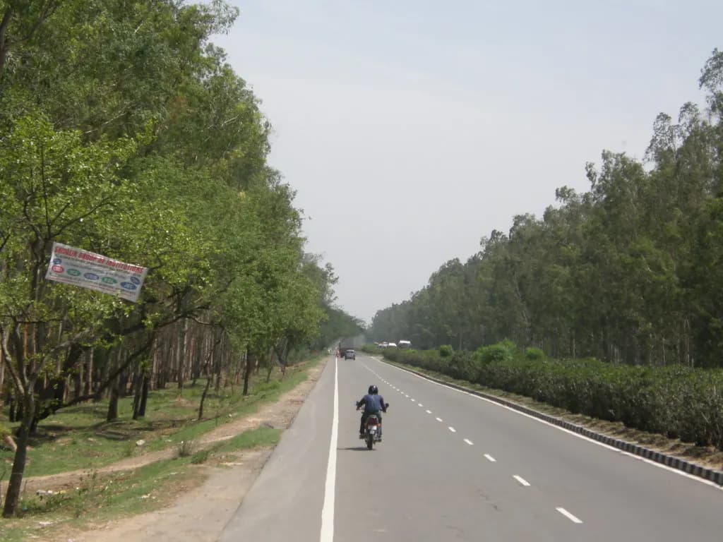 A tree-lined Indian national highway with a motorcyclist and distant trucks