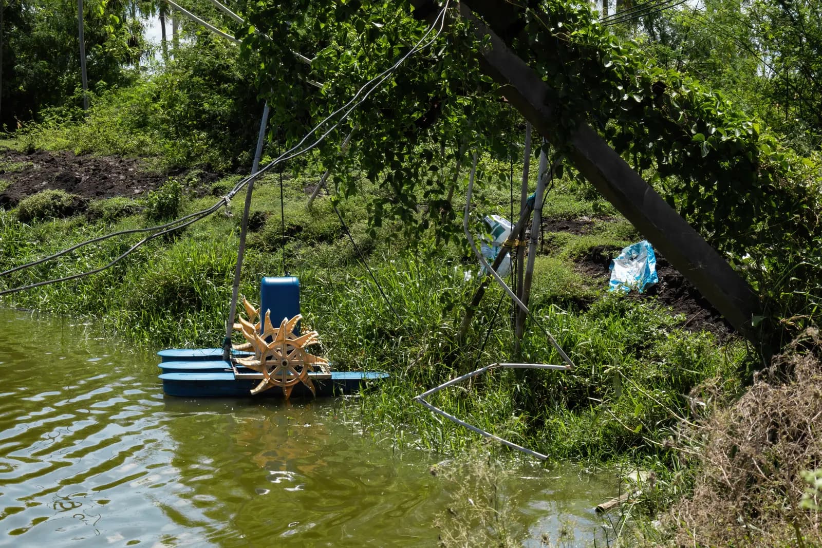 A paddle-wheel aerator at the edge of an aquaculture pond near Eluru, Andhra Pradesh