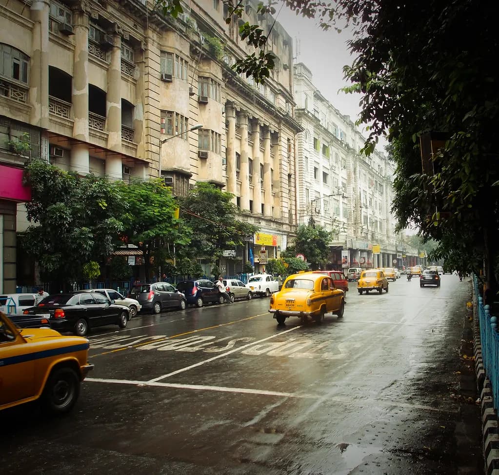 Yellow Ambassador taxis and parked cars on a wet Park Street in Kolkata