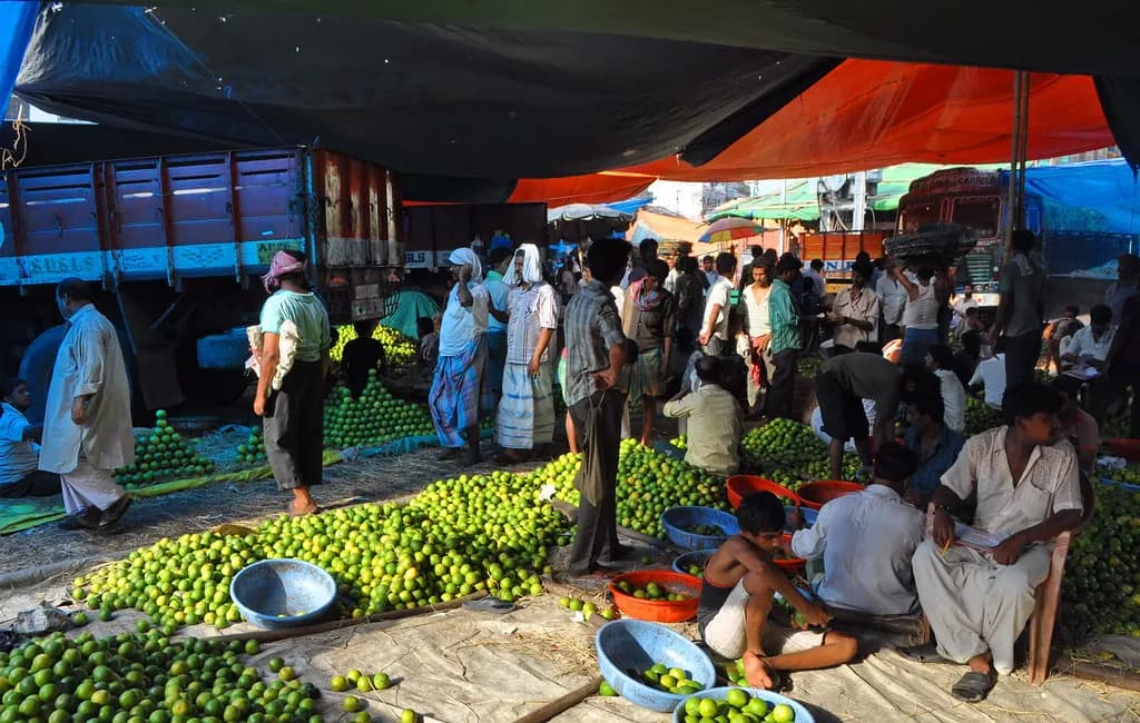 Traders and buyers among heaps of limes and fruit under tarpaulins at an Indian wholesale market