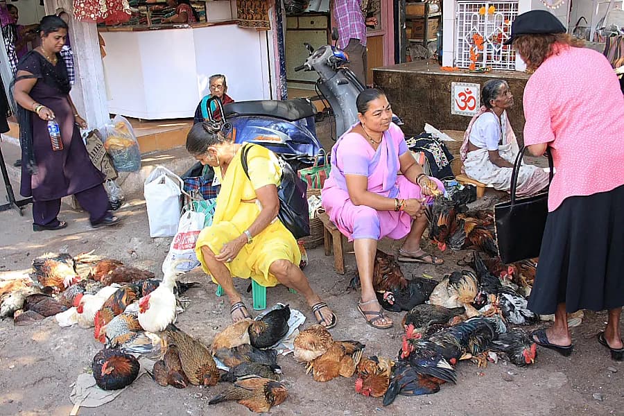 Stalls and shoppers at the Mapusa market in North Goa