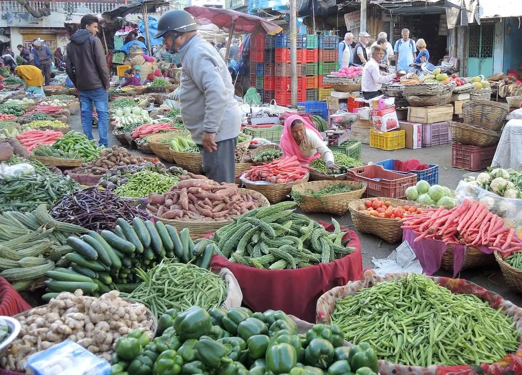 Fresh vegetables sold as organic at a market stall in Udaipur, Rajasthan