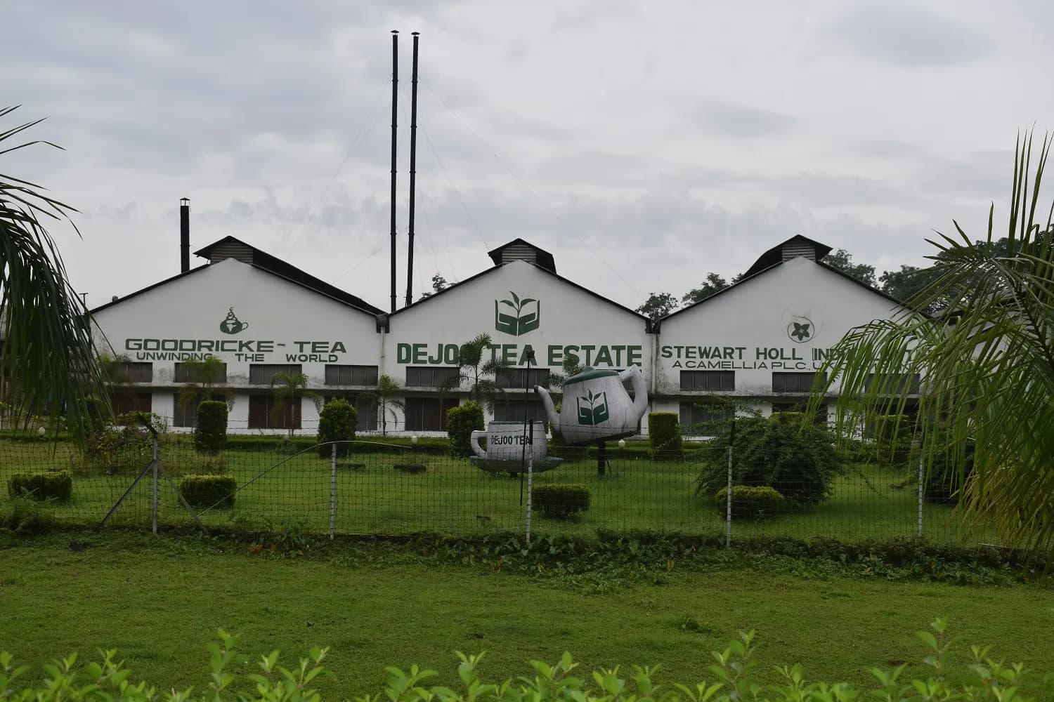 The Dejoo tea garden factory building surrounded by trees in Assam