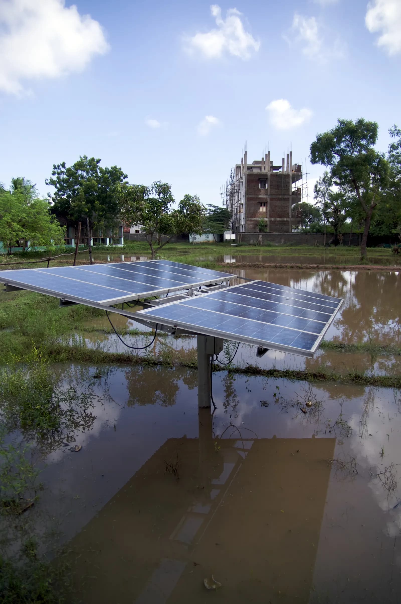 Solar panels set up in a farm field in India