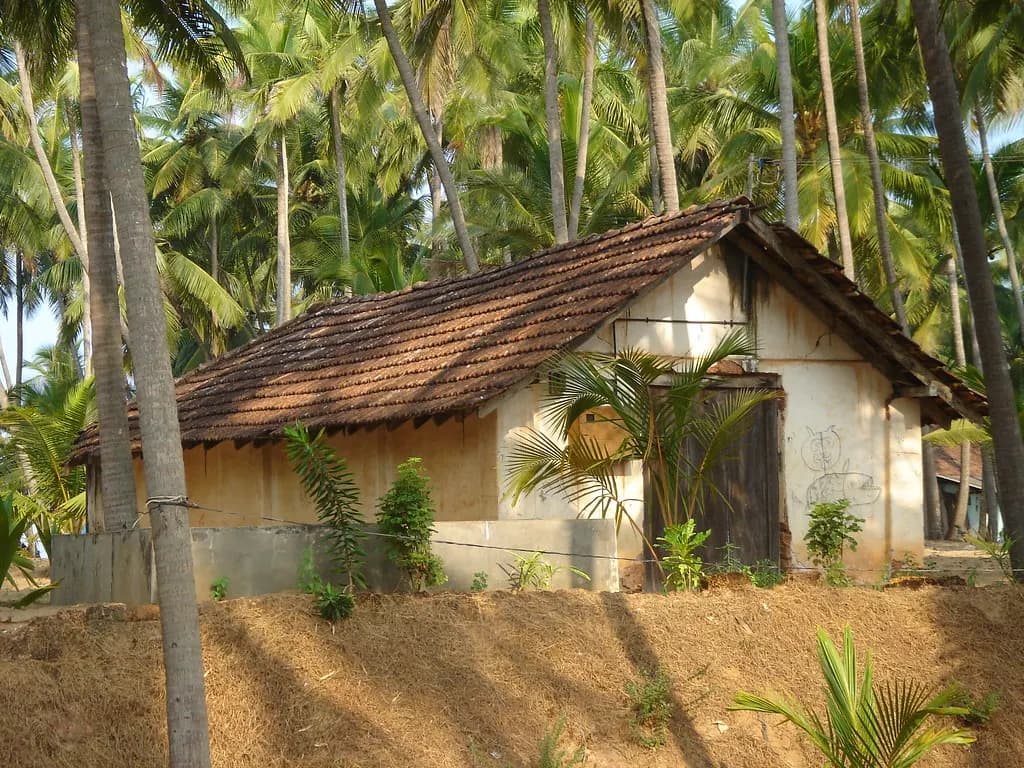 A tiled-roof godown among coconut palms in coastal Karnataka