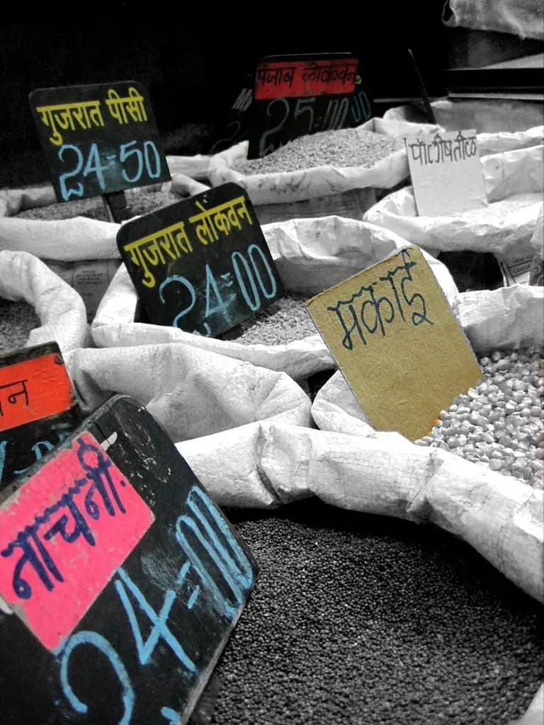 Open sacks of grain and pulses with handwritten Devanagari price boards at a Dadar market shop in Mumbai