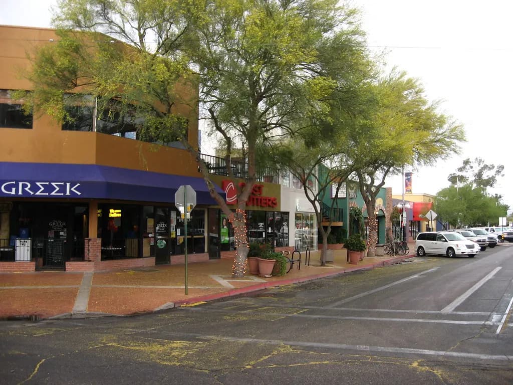 Row of shops and restaurants with shade trees on a commercial street opposite the University of Arizona in Tucson