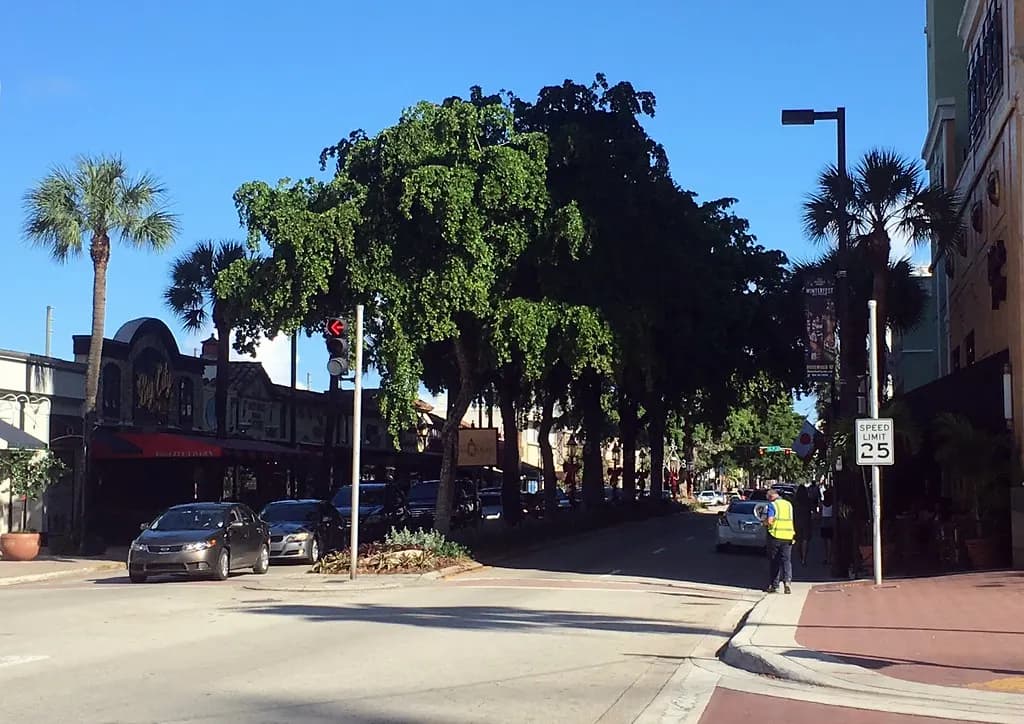 Shops and restaurants along Las Olas Boulevard in downtown Fort Lauderdale
