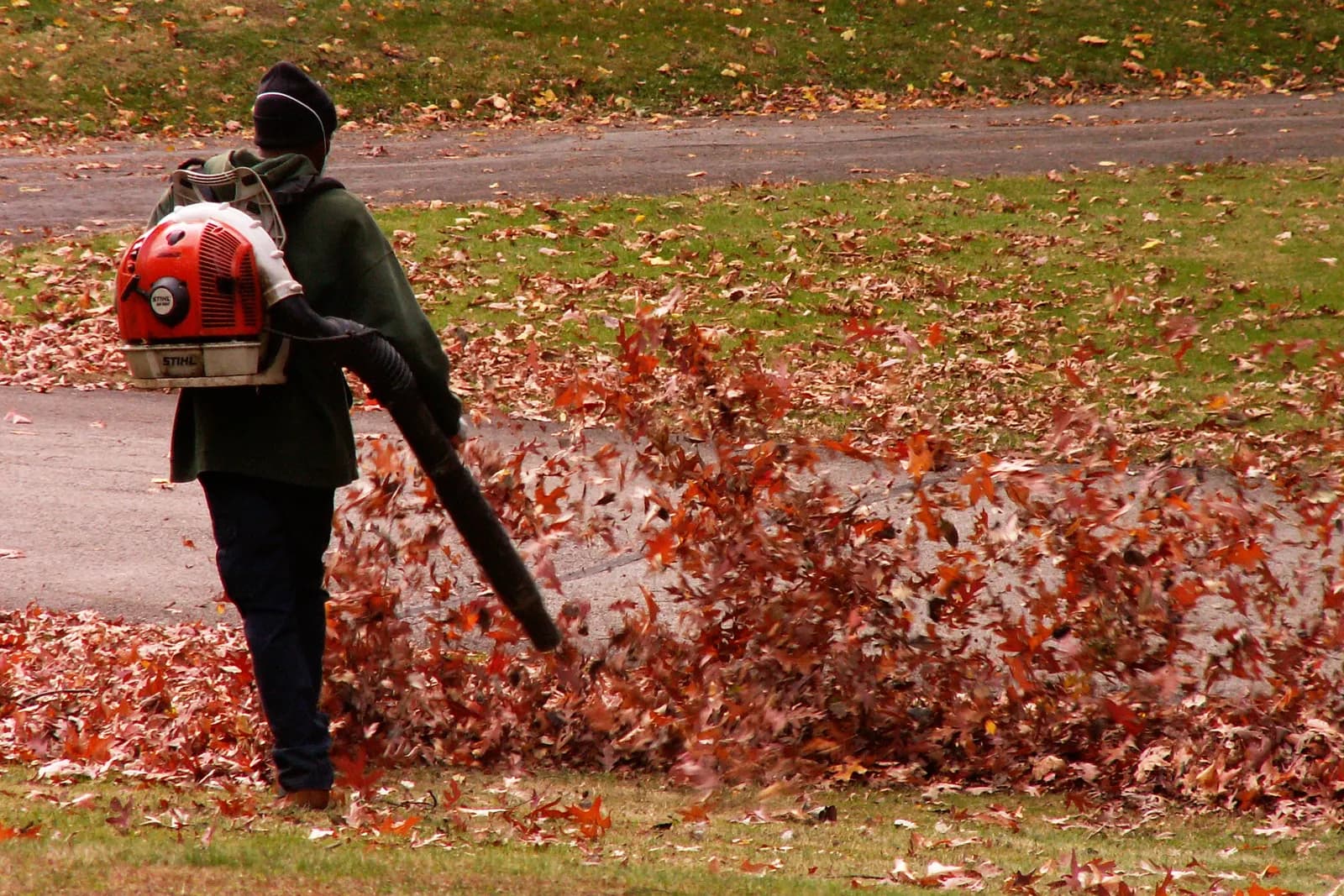 A grounds worker clearing autumn leaves with a backpack leaf blower