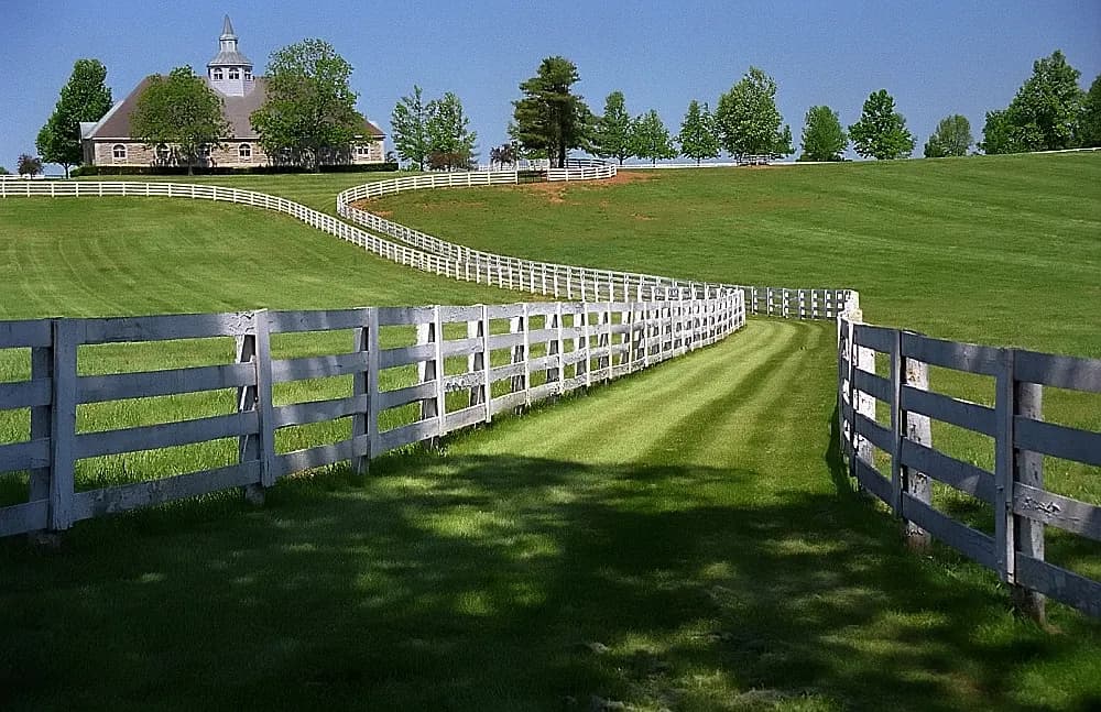 Plank-fenced paddocks on a horse farm near Lexington, Kentucky