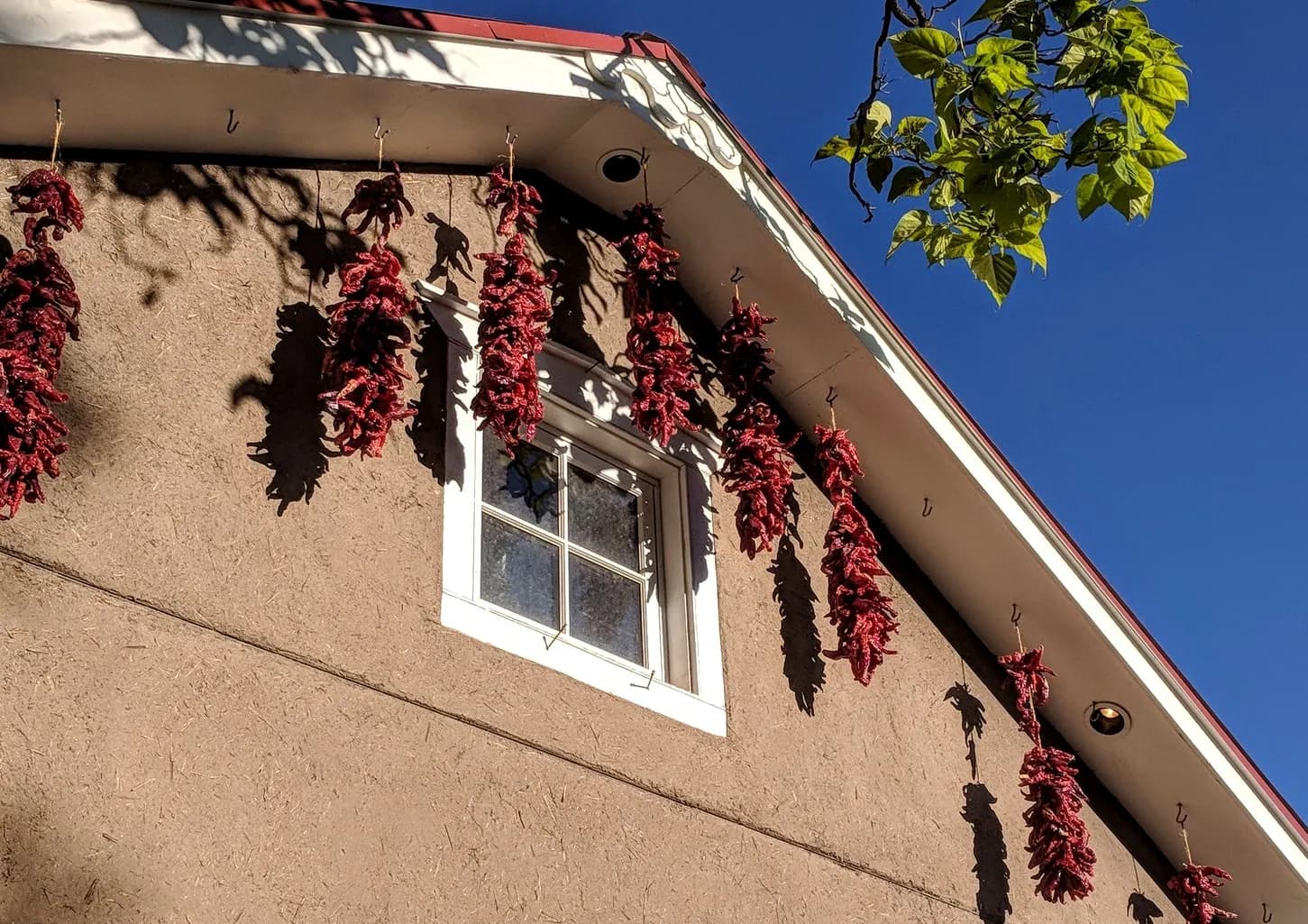 Red chile ristras hanging from the eaves of an adobe building in Chimayo, New Mexico