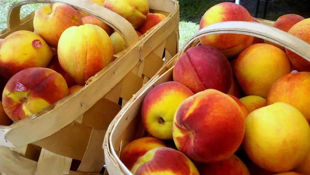 Baskets of fresh peaches on display at the North Charleston Farmers Market