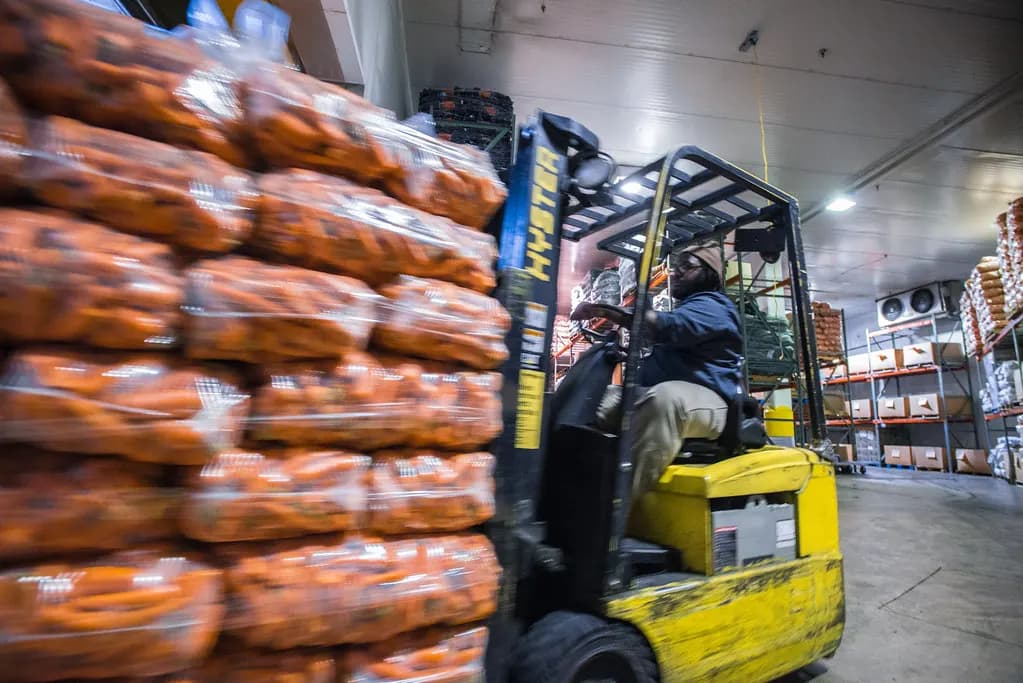 Forklift moving pallets of bagged carrots through a cold-storage produce distribution warehouse