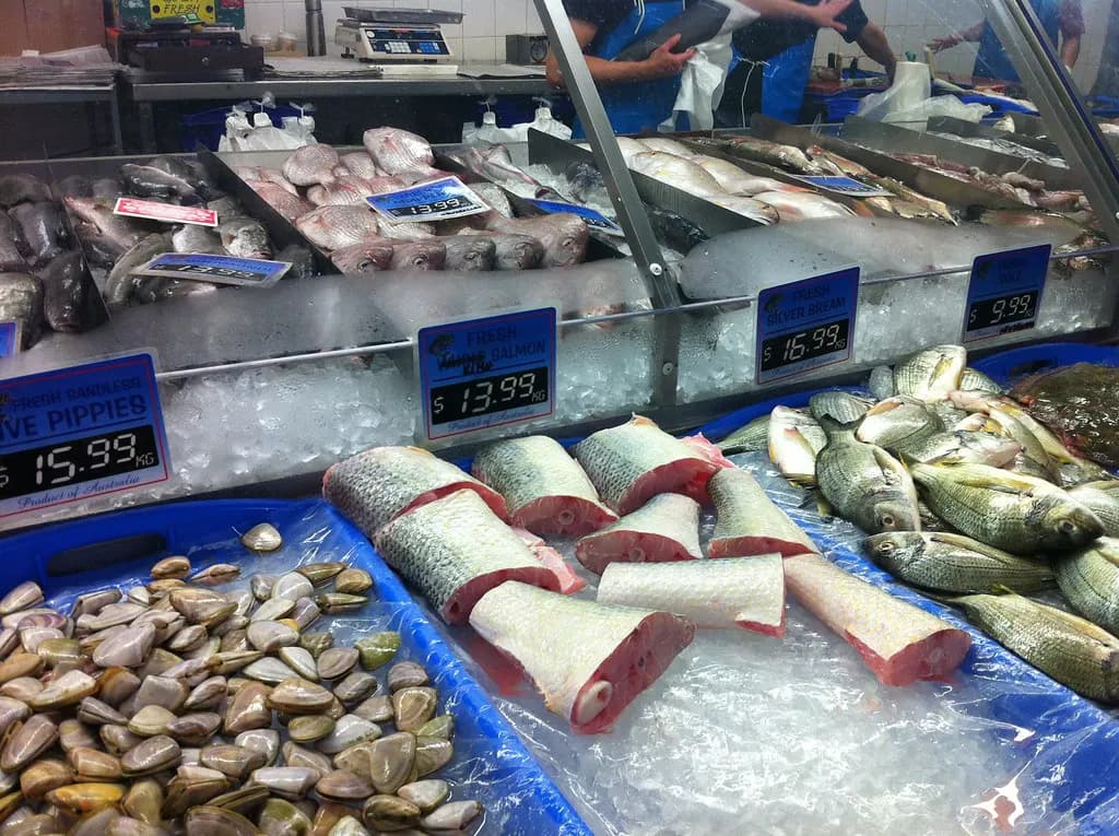 A supermarket seafood counter with fish on ice and price tickets in dollars per kilogram