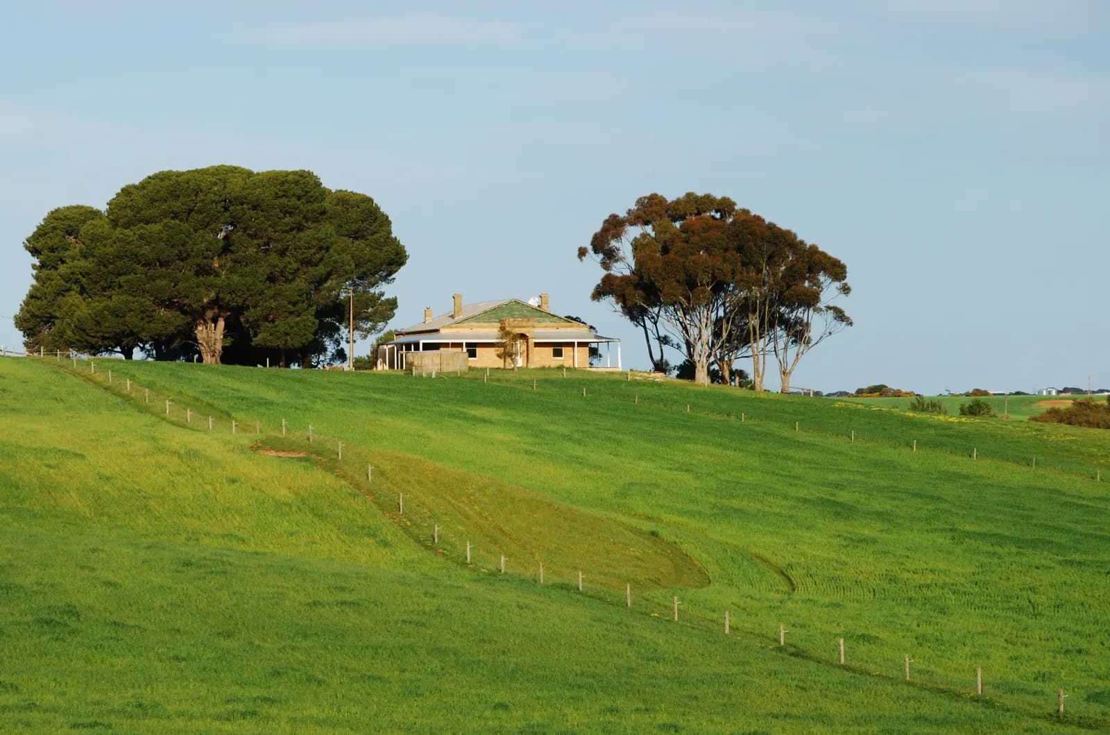 A stone farmhouse among gum trees on green rolling paddocks in South Australia