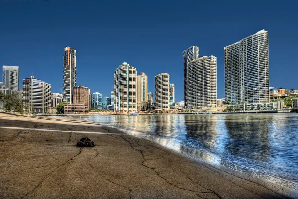 Residential towers along the Brisbane River seen from the riverbank