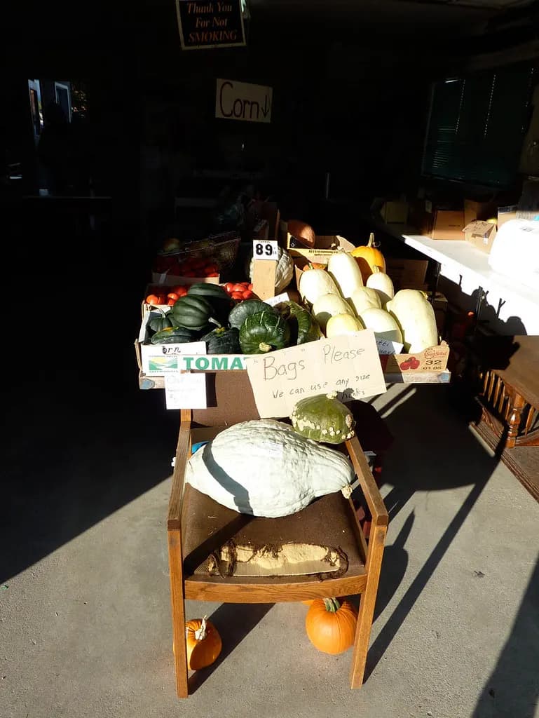 A small produce stand in the shade with squash, tomatoes and hand-lettered signs asking customers to bring bags