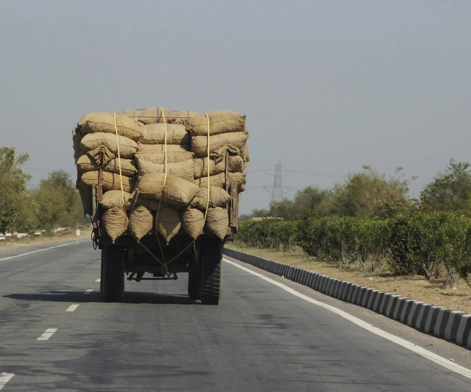 Tractor trolley piled high with jute sacks of potatoes on a highway, heading to a cold store