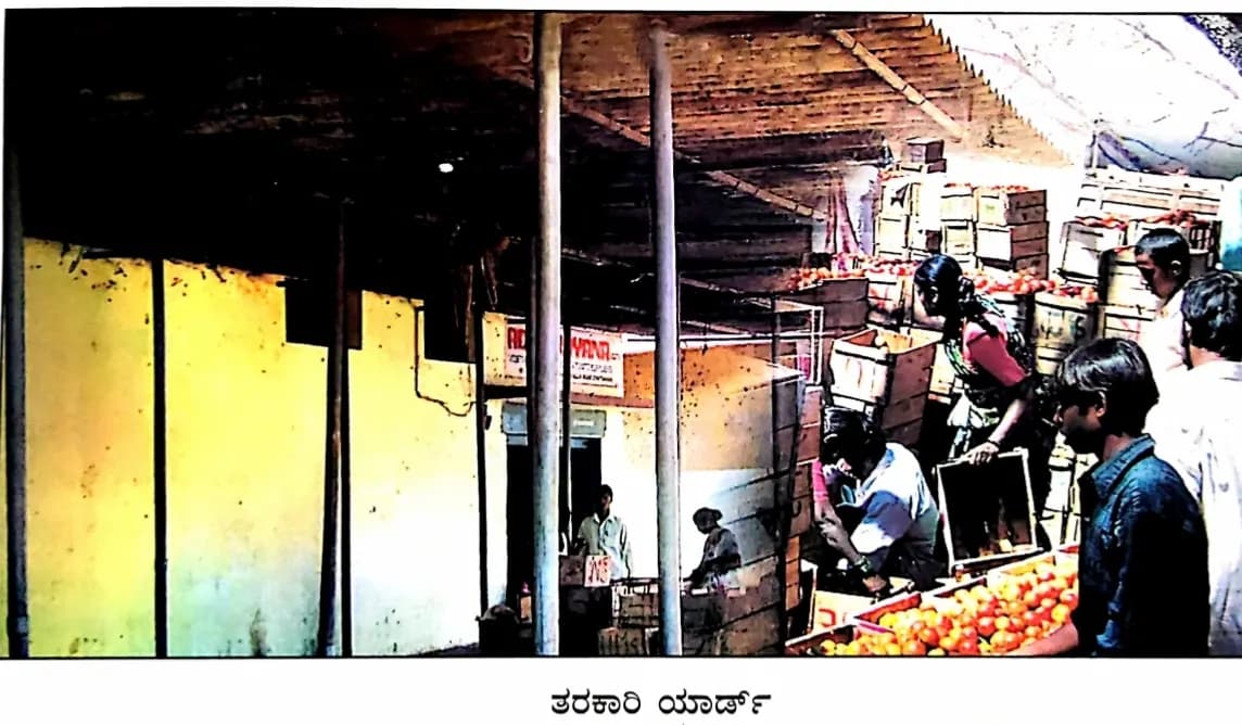 Open vegetable selling yard at an APMC market with produce heaped on the ground for auction
