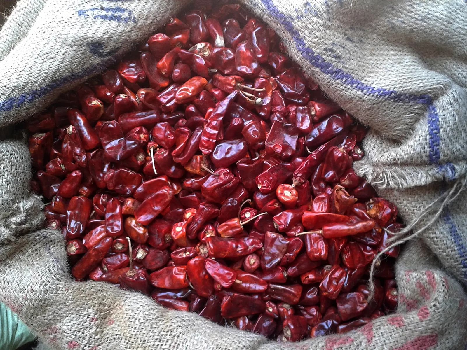 Sacks of dried red chillies at a shop in Maddilapalem, Visakhapatnam