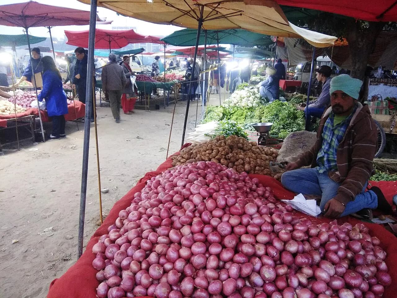 Vegetable sellers under umbrellas at an Apni Mandi farmers' market in Chandigarh