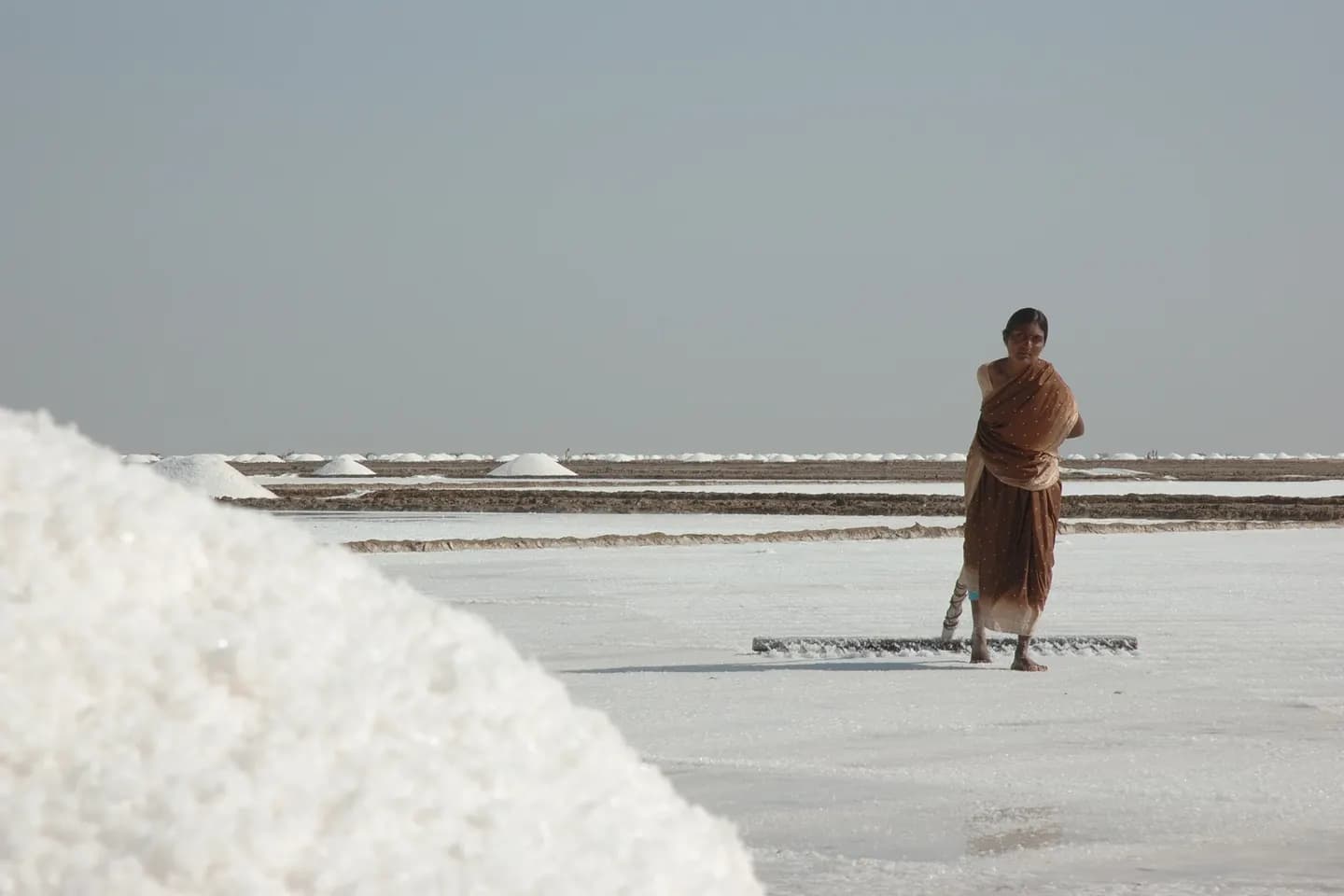 A salt worker raking salt in a salt pan in the Rann of Kutch, Gujarat