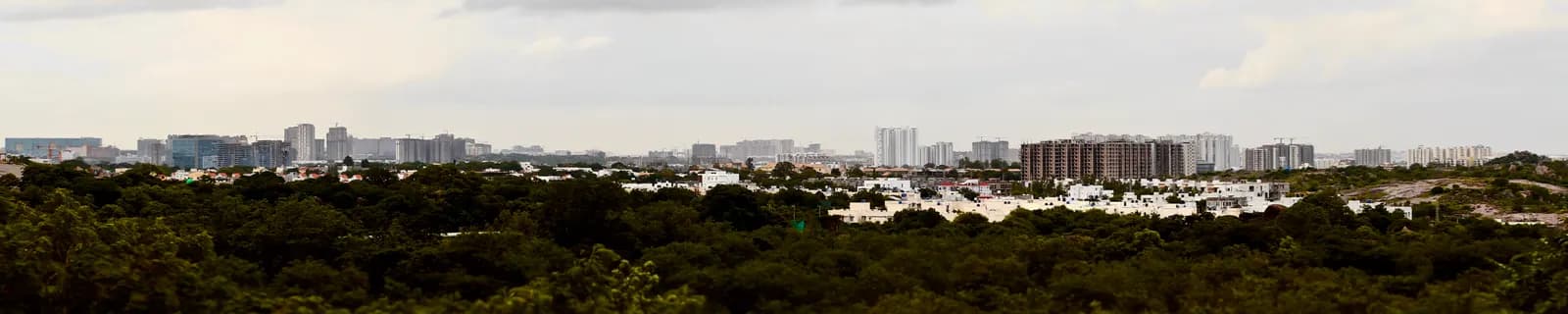 Panorama of office and residential towers on Hyderabad's western side seen across trees from Gandipet
