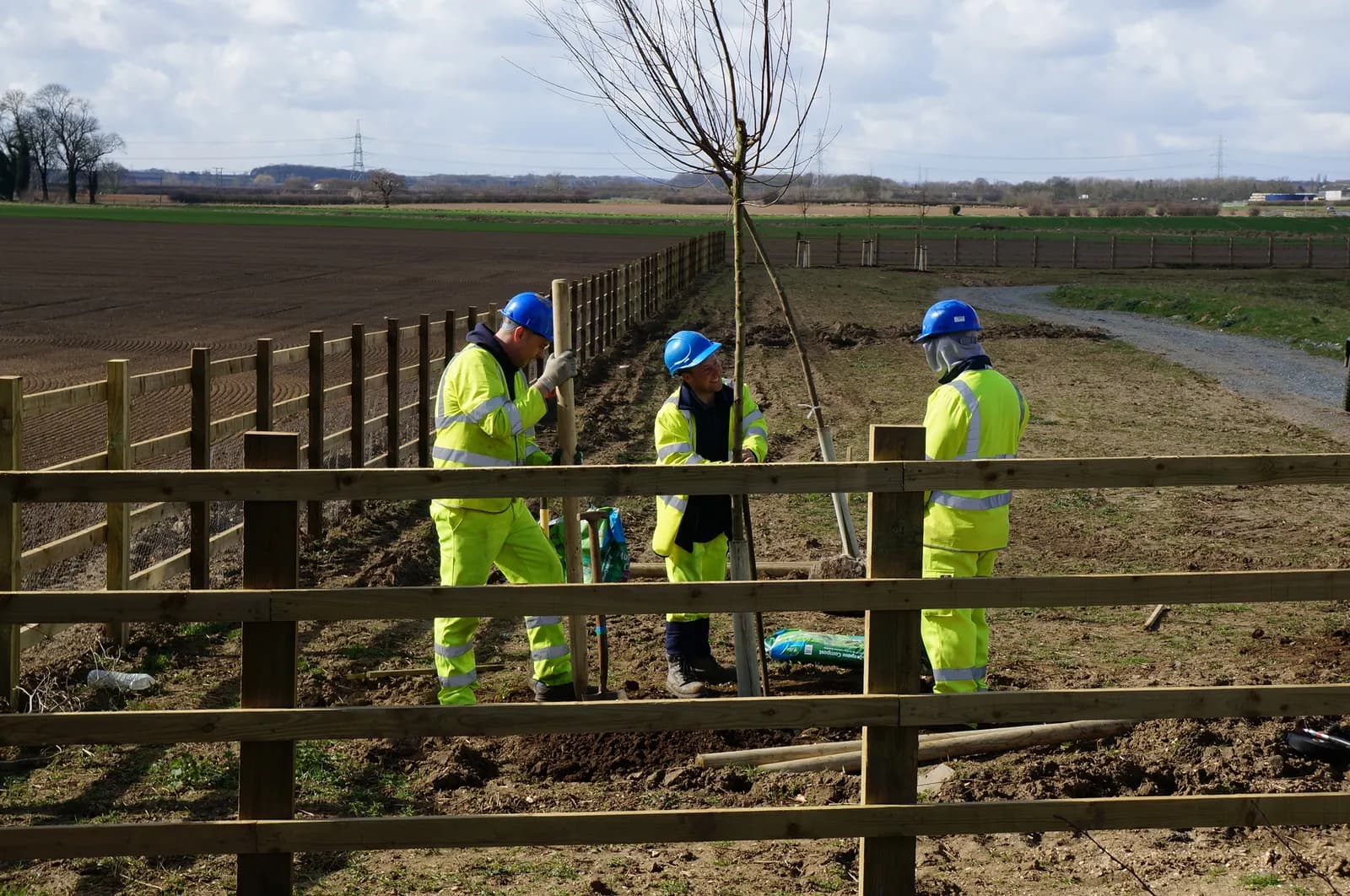 Three workers in hi-vis clothing and hard hats planting trees beside a new road near Beverley, East Yorkshire
