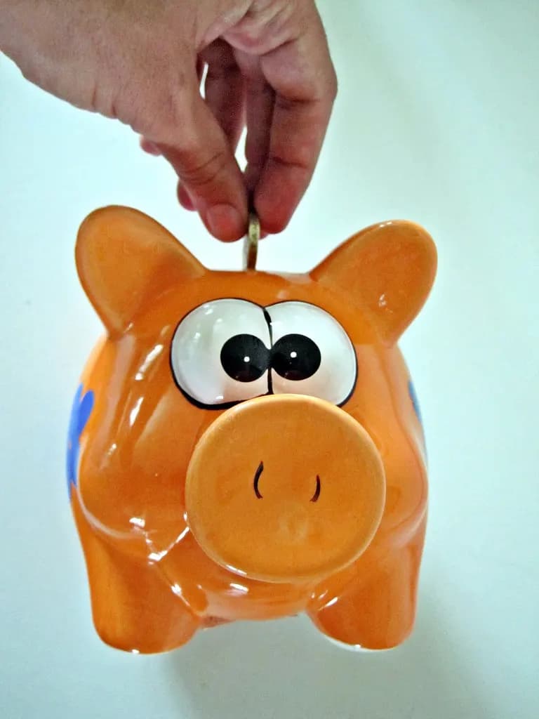 Coins being saved in a piggy bank