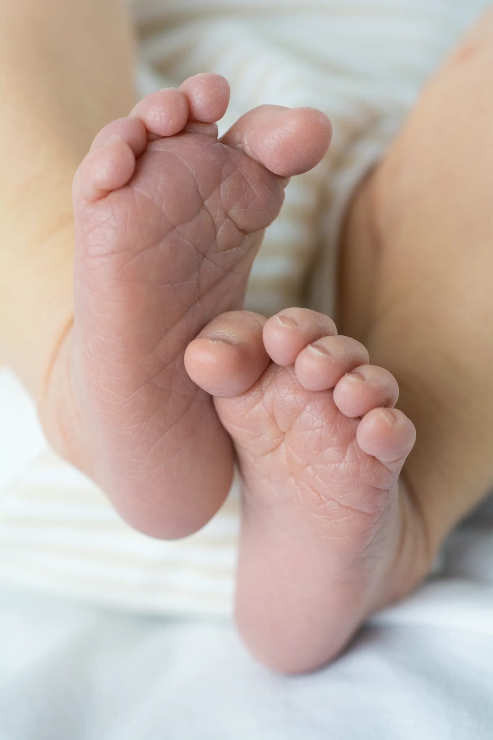 Close-up of a newborn baby's feet