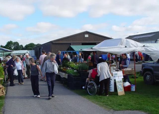 Shoppers walking past plant and produce stalls at an outdoor farmers' market in Driffield