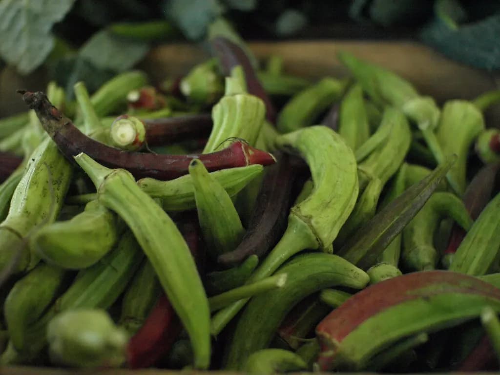 Pile of green and red okra pods at a produce stand