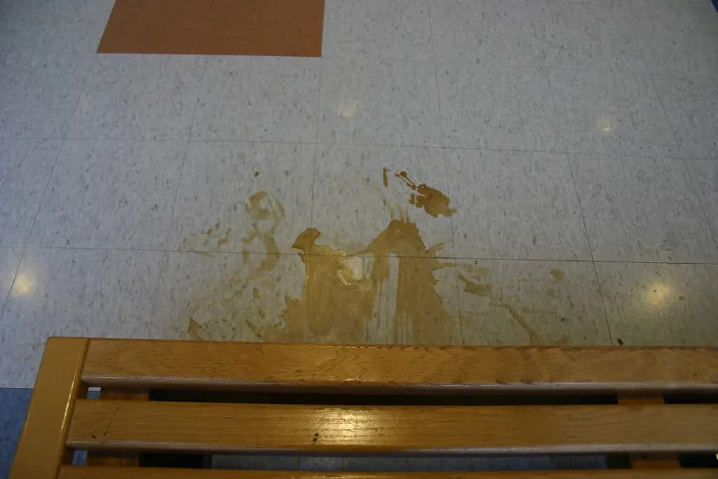 Coffee spilled across a tiled floor beside a wooden bench