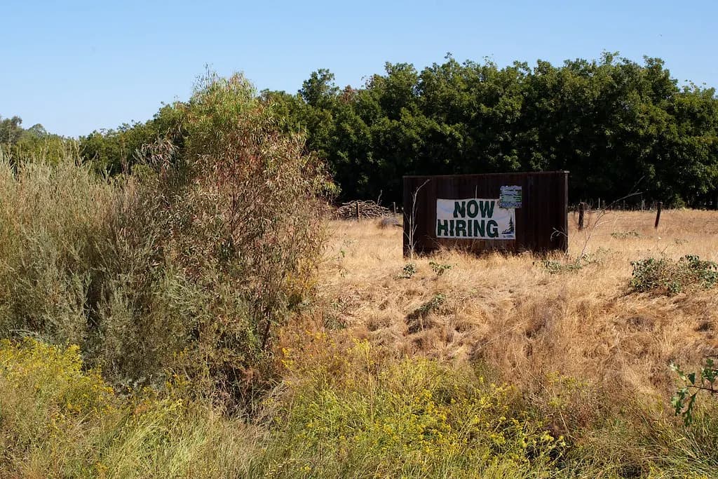 Hand-painted Now Hiring sign on a wooden board in a dry field lined with trees