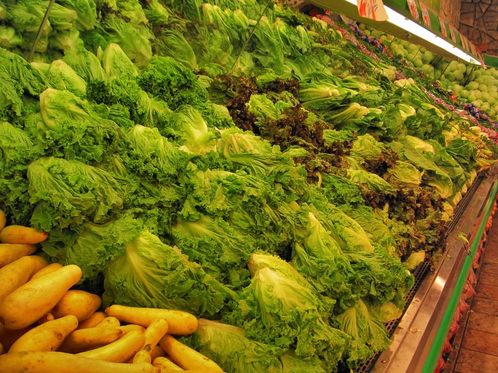 Supermarket produce display of iceberg lettuce and yellow squash
