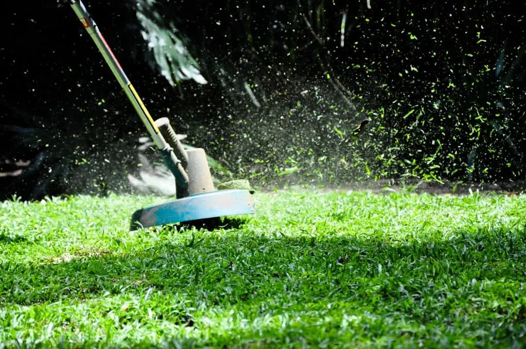 A string trimmer cutting grass along the edge of a lawn